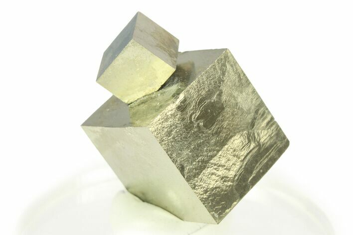 Shiny, Natural Pyrite Cube Cluster - Navajun, Spain #307067